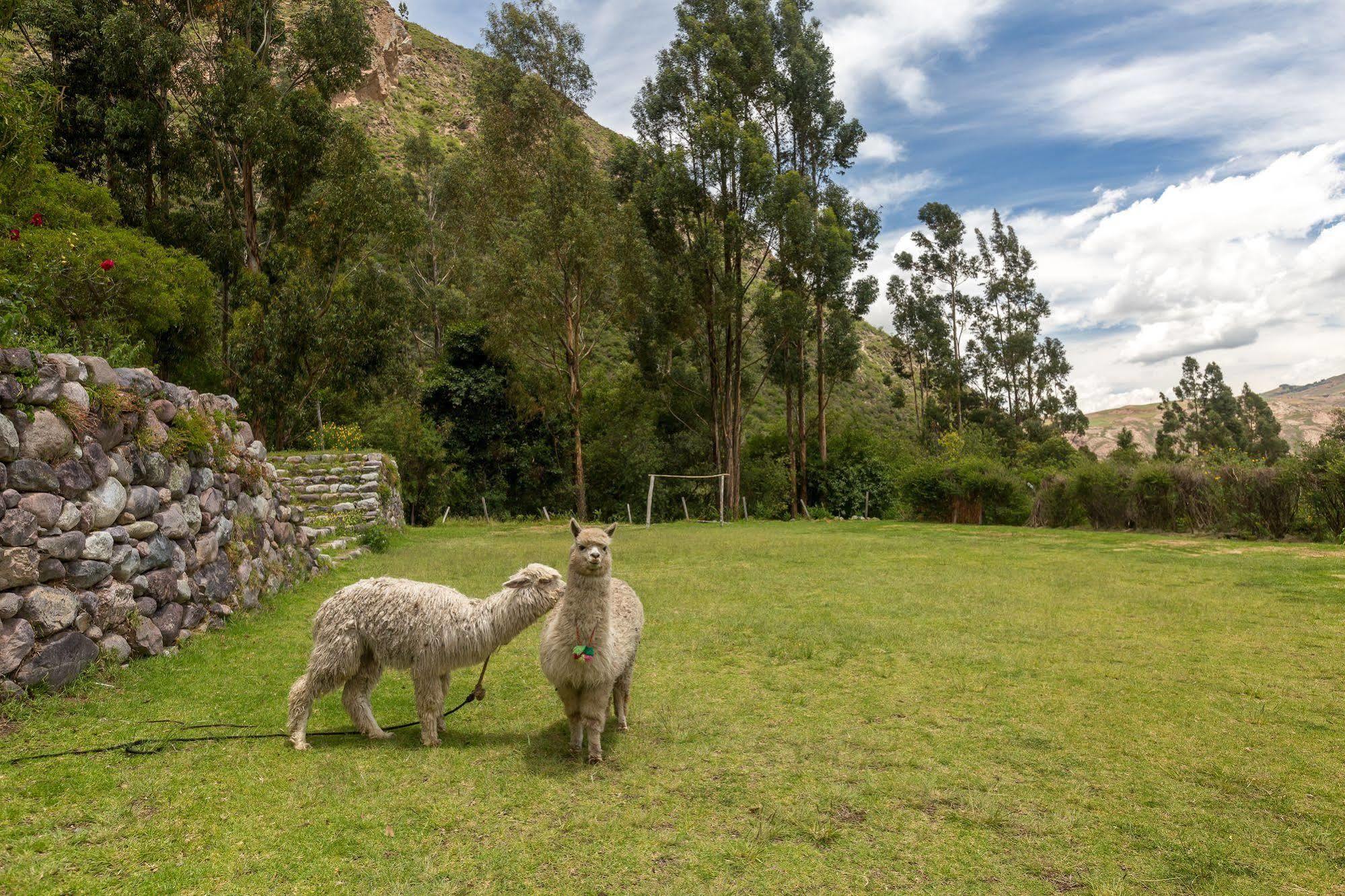 Hotel Hacienda Del Valle Урубамба Екстер'єр фото